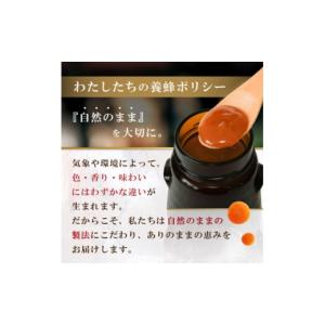 ふるさと納税 加工品等 はちみつ 大阪府 和泉...の詳細画像3