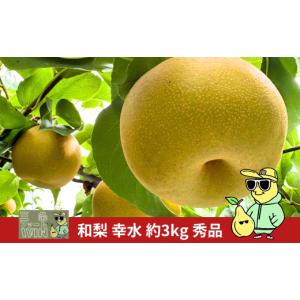 ふるさと納税 梨 新潟県 三条市 先行予約 和...の詳細画像1