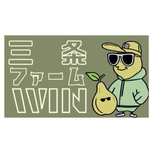 ふるさと納税 梨 新潟県 三条市 先行予約 和...の詳細画像5