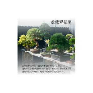 ふるさと納税 イベントやチケット等 兵庫県 加...の詳細画像2