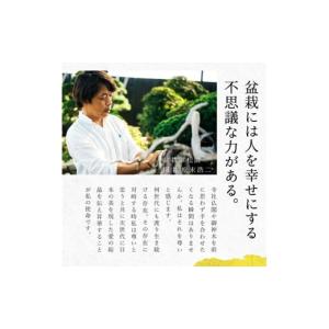 ふるさと納税 イベントやチケット等 兵庫県 加...の詳細画像3