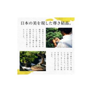 ふるさと納税 イベントやチケット等 兵庫県 加...の詳細画像4
