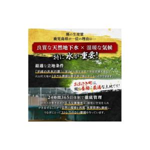 ふるさと納税 うなぎ 鹿児島県 大崎町 訳あり...の詳細画像5