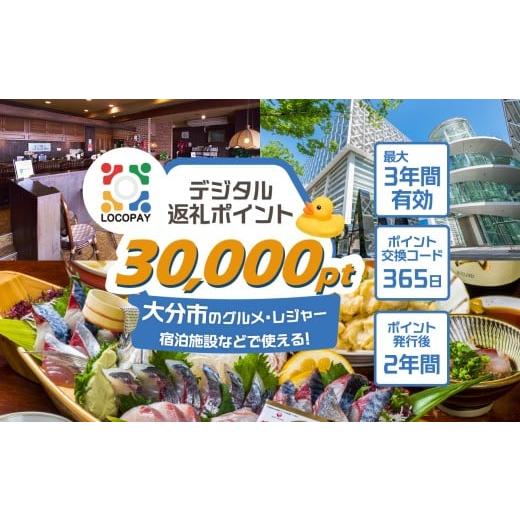 ふるさと納税 イベントやチケット等 大分県 大分市 LOCOPAYデジタルポイント 30,000ポイ...