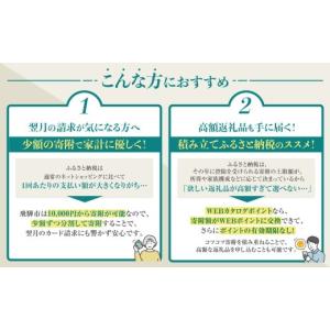 ふるさと納税 カタログ 岐阜県 飛騨市 《有効...の詳細画像4