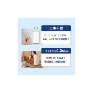 ふるさと納税 電化製品 東京都 墨田区 Wi-...の詳細画像2