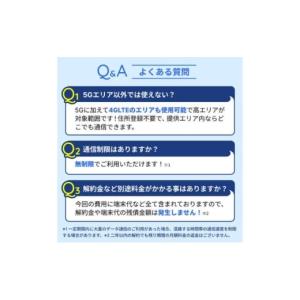 ふるさと納税 電化製品 東京都 墨田区 Wi-...の詳細画像3