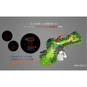 ふるさと納税 ゴルフグッズ 石川県 金沢市 シ...の詳細画像5
