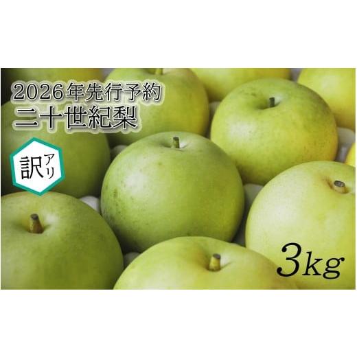 ふるさと納税 梨 鳥取県 岩美町  2026年 先行予約 訳あり 二十世紀梨 3kg｜鳥取 東光園 ...