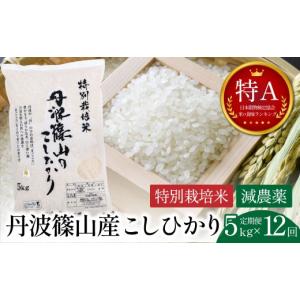 ふるさと納税 米 コシヒカリ 兵庫県 丹波篠山市  定期便・令和8年早期予約 特Aランク 特別栽培米 コシヒカリ　5kg（全12回） 兵庫県 丹波篠山市 白米 100％単…