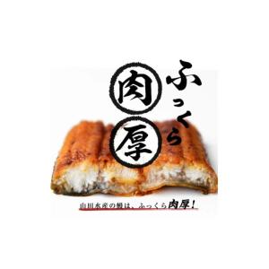 ふるさと納税 うなぎ 鹿児島県 志布志市 志布...の詳細画像3