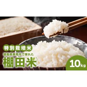 ふるさと納税 米 徳島県 美馬市 米 棚田米 1...の商品画像