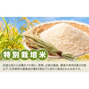 ふるさと納税 米 徳島県 美馬市 米 棚田米 ...の詳細画像4