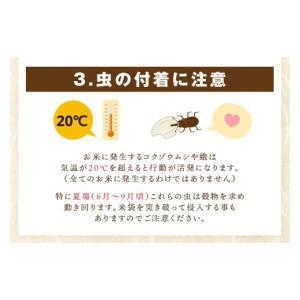 ふるさと納税 米 ブレンド 佐賀県 伊万里市 ...の詳細画像4