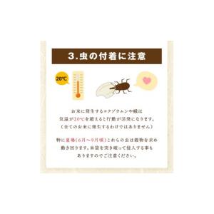 ふるさと納税 米 ブレンド 佐賀県 伊万里市 ...の詳細画像4