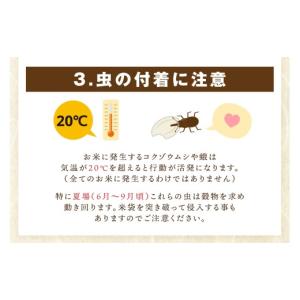ふるさと納税 米 ブレンド 佐賀県 伊万里市 ...の詳細画像4
