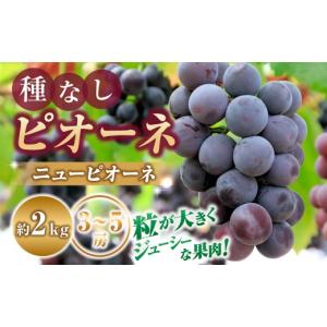 ふるさと納税 ぶどう 宮崎県 小林市 令和8年発送 種なしピオーネ（ニューピオーネ）2kg ぶどう 葡萄 ブドウ ピオーネ 種なし ジューシー 濃厚 宮崎県 小林市