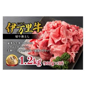 ふるさと納税 牛肉 佐賀県 伊万里市 伊万里牛...の詳細画像1