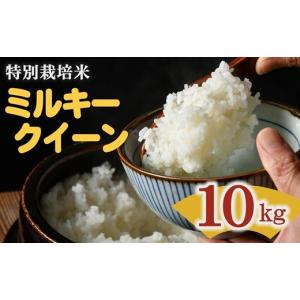 ふるさと納税 無洗米 千葉県 大網白里市 6か月定期便 千葉県産「粒すけ