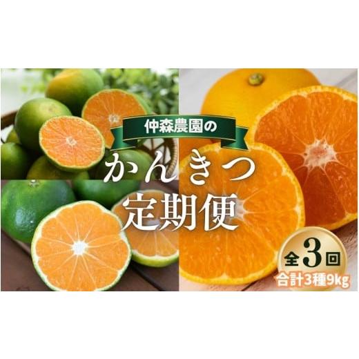 ふるさと納税 果物類 みかん 三重県 熊野市  全3回 仲森農園の柑橘定期便 合計3種 9kg 超極...