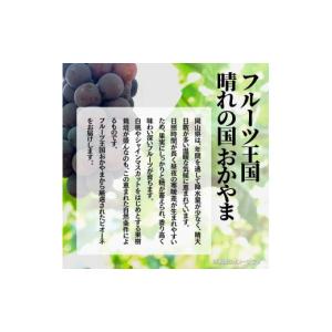 ふるさと納税 果物類 ぶどう 岡山県 鏡野町 ...の詳細画像2