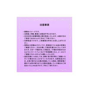 ふるさと納税 果物類 ぶどう 岡山県 鏡野町 ...の詳細画像5