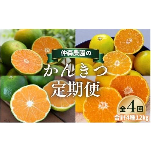 ふるさと納税 果物類 みかん 三重県 熊野市  全4回 仲森農園の柑橘定期便 合計4種 12kg 超...