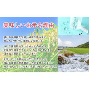 ふるさと納税 米 コシヒカリ 岡山県 早島町 ...の詳細画像3