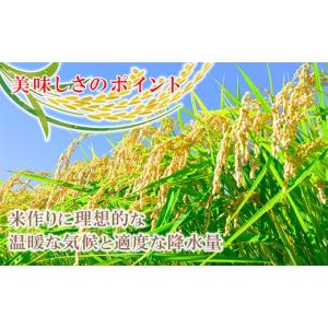 ふるさと納税 米 コシヒカリ 岡山県 早島町 ...の詳細画像4