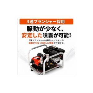 ふるさと納税 雑貨・日用品 岐阜県 池田町 噴...の詳細画像2