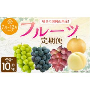 ふるさと納税 もも 岡山県 奈義町 6回定期便 岡山県産 フルーツ定期便コース 計約10kg 2026年7月上旬発送開始 白桃 桃 もも ニューピオーネ 瀬戸ジャイアンツ…