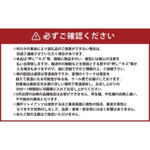 ふるさと納税 もも 岡山県 奈義町 6回定期便...の詳細画像5