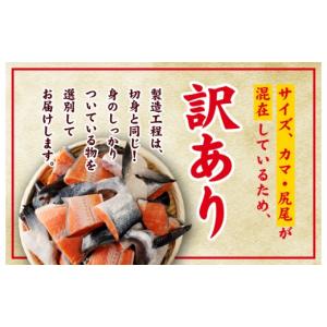 ふるさと納税 魚貝類 鮭 大阪府 泉佐野市 訳...の詳細画像2