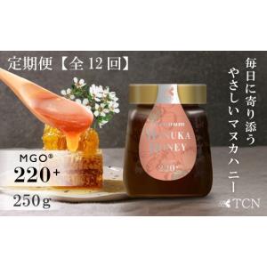 ふるさと納税 加工品等 はちみつ 愛知県 西尾市 定期便全12回 マヌカハニー MGO220+ 250g インカナムマヌカハニー・T142