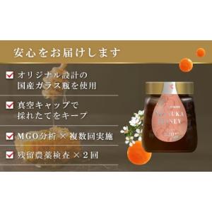ふるさと納税 加工品等 はちみつ 愛知県 西尾...の詳細画像2