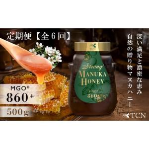ふるさと納税 加工品等 はちみつ 愛知県 西尾市 定期便全６回 マヌカハニー MGO860+ 500g ストロングマヌカハニー・T145