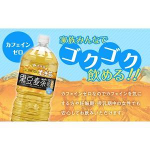ふるさと納税 お茶類 和歌山県 海南市 9月3...の詳細画像4