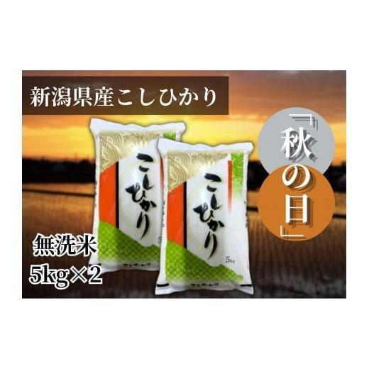 ふるさと納税 無洗米 新潟県 -  令和7年産 新潟県産こしひかり「秋の日」（無洗米10kg） 5k...