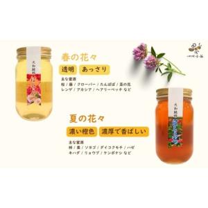 ふるさと納税 加工品等 はちみつ 奈良県 宇陀...の詳細画像4
