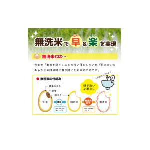 ふるさと納税 無洗米 山形県 酒田市 令和8年...の詳細画像4