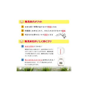 ふるさと納税 無洗米 山形県 酒田市 令和8年...の詳細画像5
