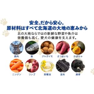 ふるさと納税 雑貨・日用品 北海道 稚内市 定...の詳細画像3
