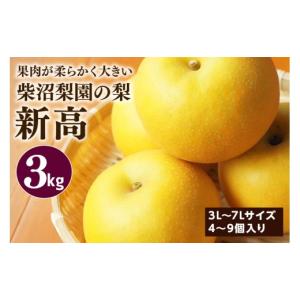 ふるさと納税 梨 茨城県 笠間市 柴沼梨園の梨（新高） 梨 3kg 大玉 4〜9個入り ナシ なし 国産 茨城 新高梨 秋 旬 フルーツ 果物 先行予約 9月下旬〜10月上旬…