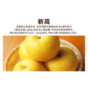 ふるさと納税 梨 茨城県 笠間市 柴沼梨園の梨...の詳細画像2
