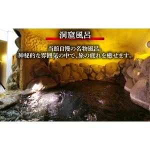 ふるさと納税 入場券・優待券 長崎県 壱岐市 ...の詳細画像4