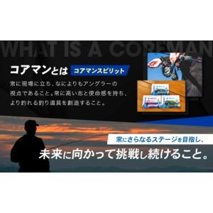 ふるさと納税 フィッシング ルアー・フライ 兵...の詳細画像2