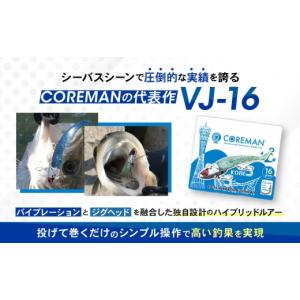 ふるさと納税 フィッシング ルアー・フライ 兵...の詳細画像3