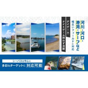 ふるさと納税 フィッシング ルアー・フライ 兵...の詳細画像5