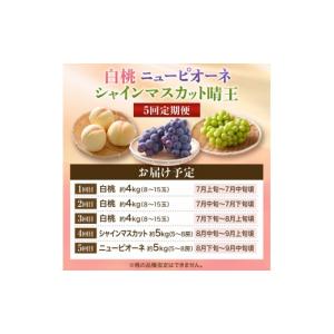ふるさと納税 もも 岡山県 高梁市 2027年...の詳細画像3