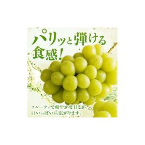 ふるさと納税 もも 岡山県 高梁市 2027年...の詳細画像5